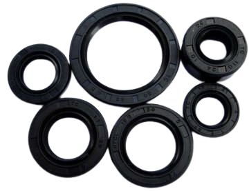 Paltaryuyan salniki 25x50x10